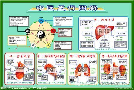 五腑|中醫知識 